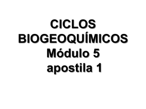 ciclos biogeoquímicos