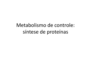 Metabolismo de controle: síntese de proteínas