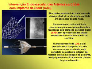 Slide 1 - Dr. Roberto Cesar