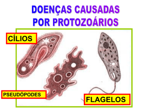 O mal de Chagas é uma doença infecciosa causada pelo protozoário