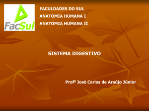 sistema_digestivo__anatomia_facsul1