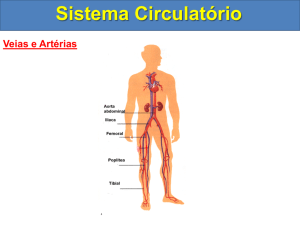 Sistema Circulatório Circulação nos Répteis Sistema