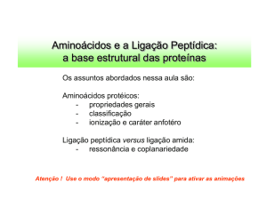 Aminoácidos e Peptídeos