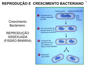 reprodução e crescimento bacteriano