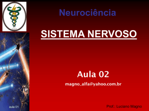 revisao-neuroanatomia-e-neurofisiologia-aula