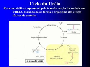 ciclo da ureia