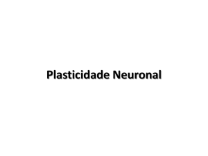Plasticidade Neuronal