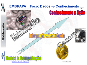 Apresentação (Documento PPS)