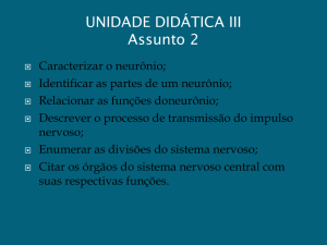 SISTEMA NERVOSO