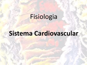 Sistema Cardiovascular