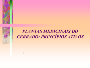 Plantas Medicinais - SOL