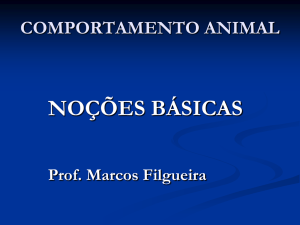 No Slide Title - MARCOS FILGUEIRA