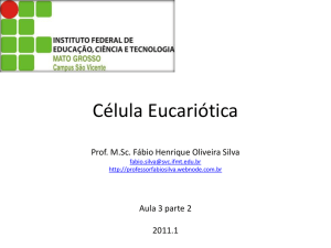 Slide 1 - Professor Fabio Henrique Silva