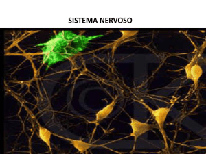 Slide 1 - Maximo Vestibulares