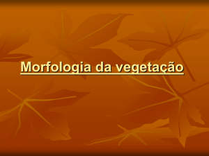 Morfologia da vegetação