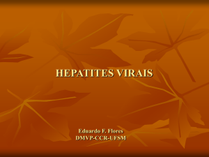 Hepatites Virais - Setor de Virologia UFSM