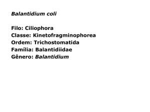 Balantidium coli