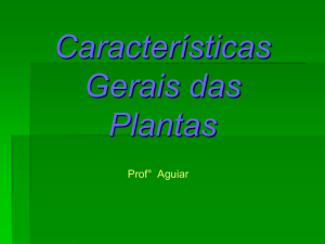 Características Gerais das Plantas