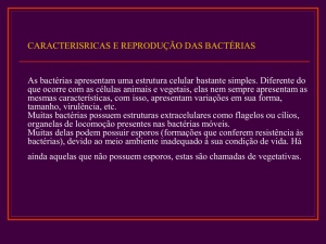projeto de biologia caracterisricas e reprodução das bactérias