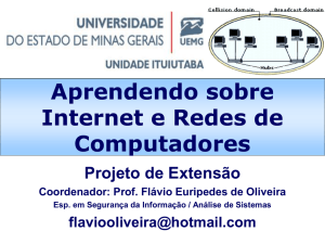 Slide 1 - Professor Flávio