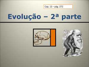 Evolução – 2ª parte