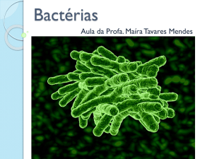 Bactérias - WordPress.com