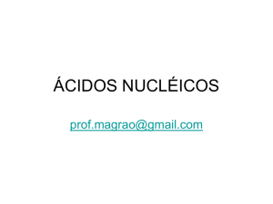 ÁCIDOS NUCLÉICOS