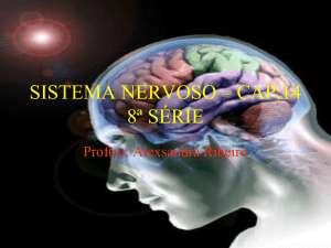 Cap. 14 - Sistema Nervoso