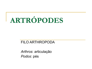 artrópodes - WordPress.com