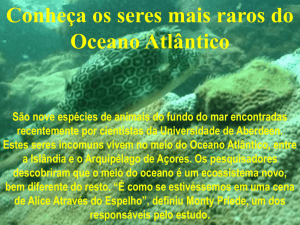 Os seres mais raros do Oceano Atlântico