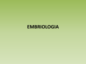 EMBRIOLOGIA