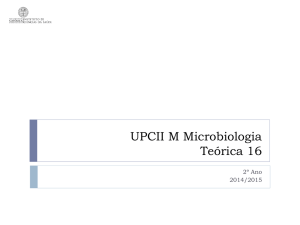 aula teórica 16-17 virus e hepatites