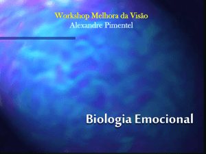 Workshop Melhora da Visão