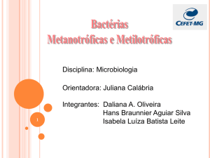 bactérias metanotróficas