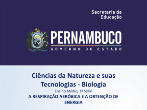 A respiração aeróbica e a obtenção de energia