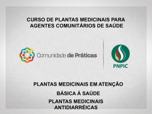 1._plantas_medicinais_antidiarreicas
