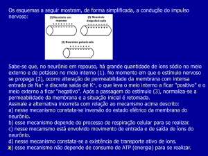 Slide 1 - SlideBoom
