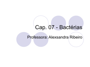 Cap. 07 - Bactérias