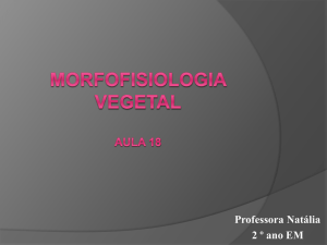 Morfofisiologia Vegetal Aula 18