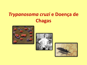 Trypanossoma cruzi e Doença de Chagas