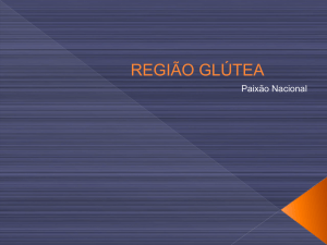 Região Glútea - WordPress.com
