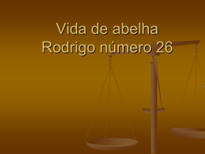26 Rodrigo de Oliveira Rafael Filho
