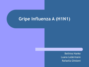 Gripe Influenza A (H1N1)