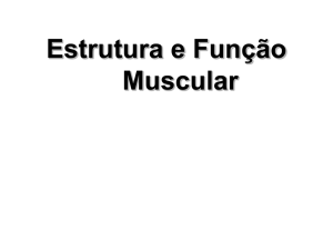 Estrutura e Função Muscular