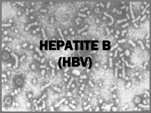 HBV, HCV e HPV