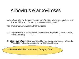 Vírus da Dengue