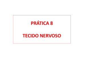 Slide 1 -