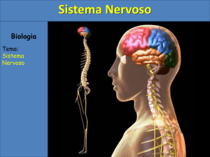 Slide 1 - Col&eacute;gio Machado de Assis