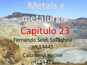 Capítulo 23 Metais e metalurgia