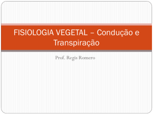 FISIOLOGIA VEGETAL – Condução e Transpiração